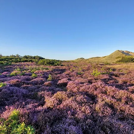 Hébergement de vacances Seaside Escape In Ho - By Traum *